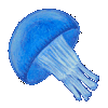 poisson 173