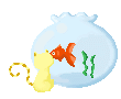 poisson 174