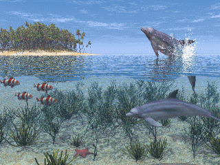poisson 212