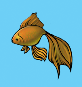 poisson 229