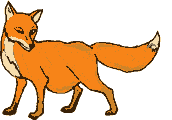 renard 28