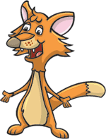 renard 29