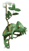reptile 02