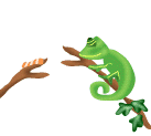 reptile 03