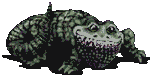 reptile 11