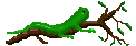 reptile 13