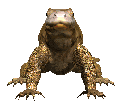 reptile 16