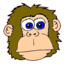 singe 28