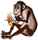 singe 32