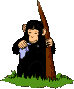 singe 34