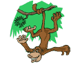 singe 49