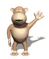 singe 54
