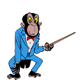 singe 56