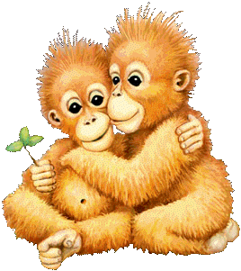 singe 91