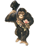 singe 98