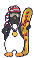 ski 31