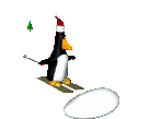 ski 35