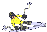 ski 38