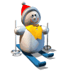 ski 44