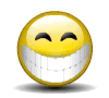 smiley 162