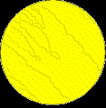 sorcier 48