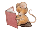 souris 16