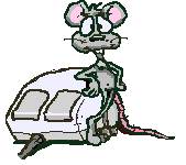 souris 18