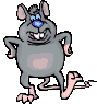 souris 21