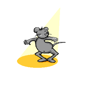 souris 24