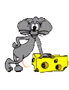 souris 26