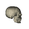 tetemort 63