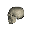 tetemort 67