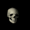 tetemort 116