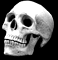 tetemort 117
