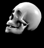tetemort 120