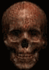 tetemort 121