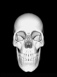 tetemort 122