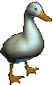 volaille 22